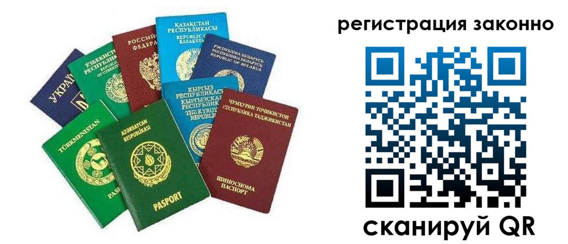 прописка 2025 в Шумихе
